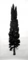 Eamon Eamon O´Kane: Baum Test III, 2017, 
acrylic, charcoal on paper, 320 x 150 cm

